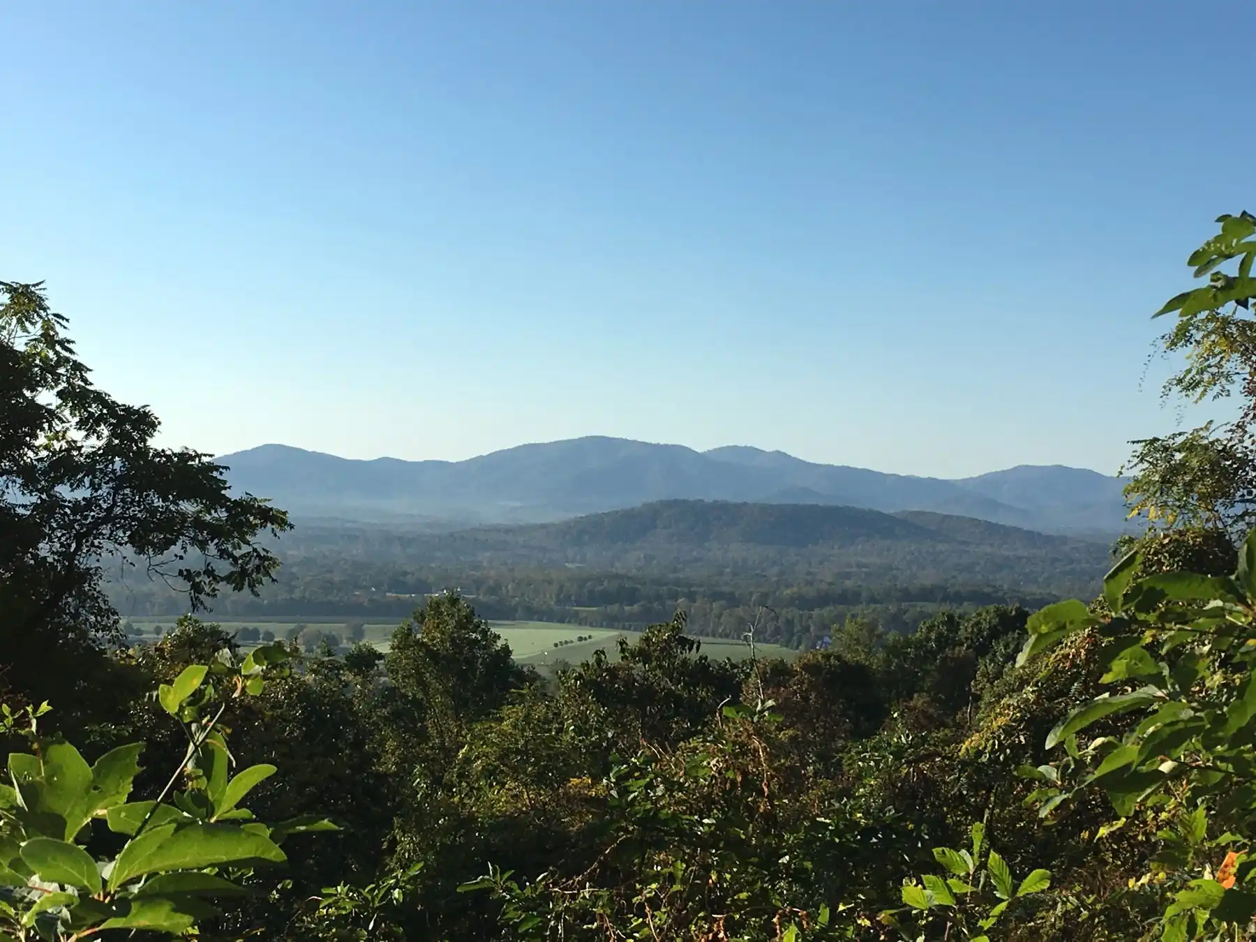 View of the Blue Ridge from Crozet