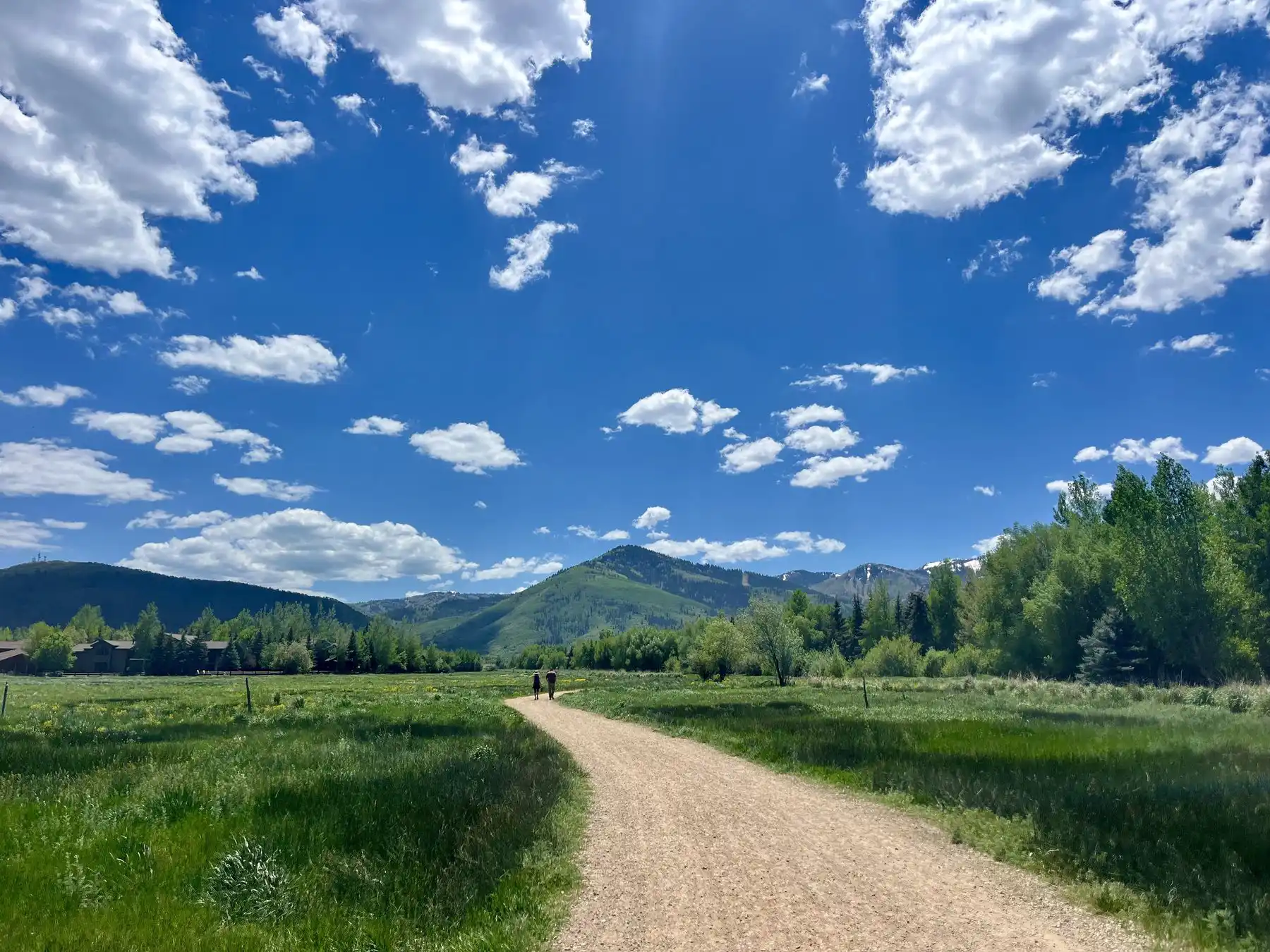Mountain meadow path under a wide blue sky