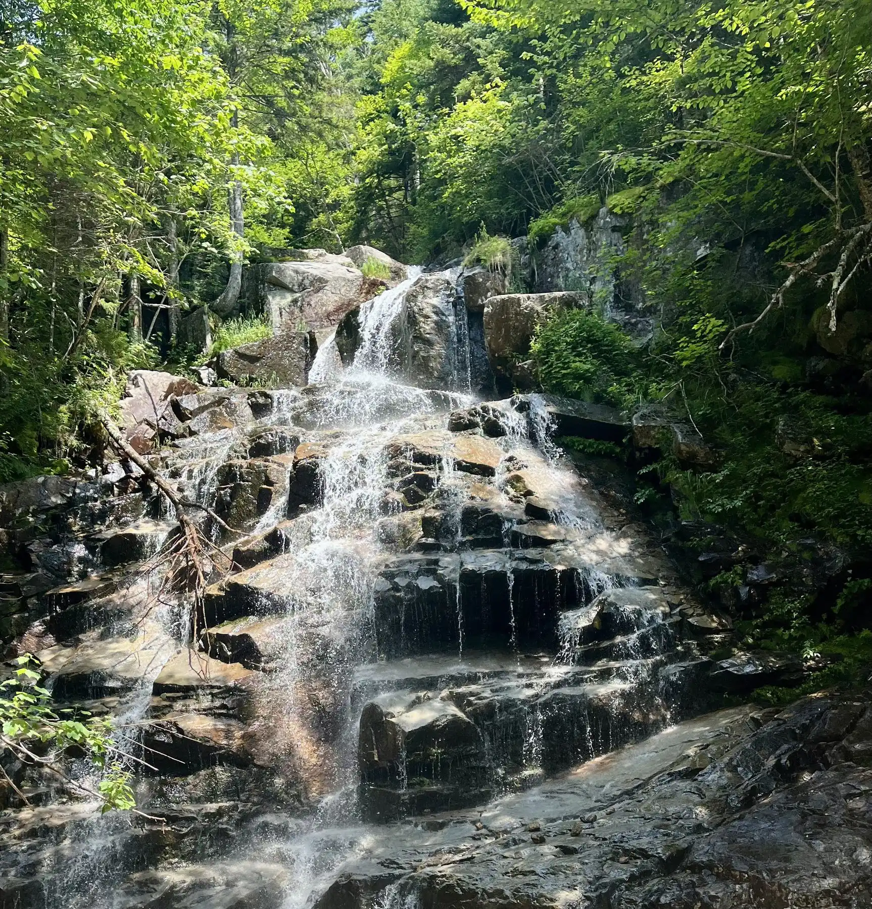 Cascading mountain waterfall in the forest