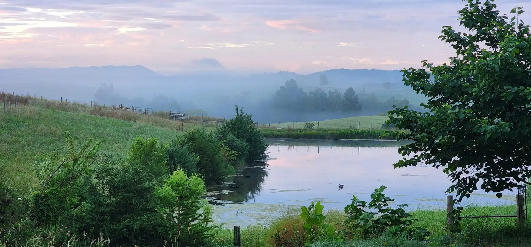 Misty pond at dawn near Crozet, Virginia